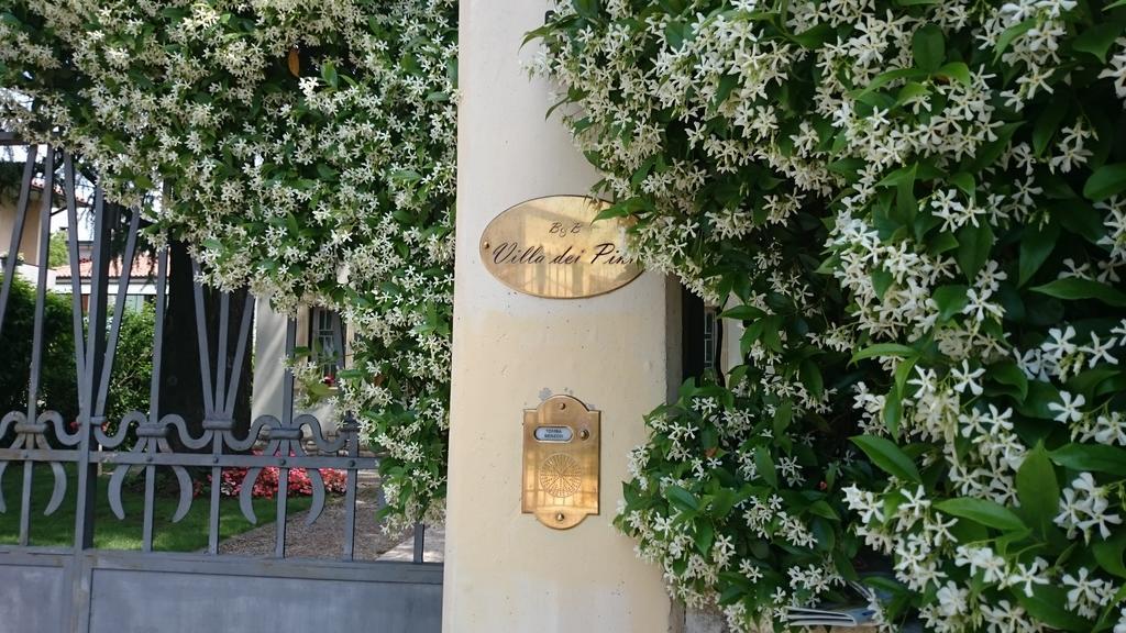 B&B Villa Dei Pini Domegliara Екстериор снимка