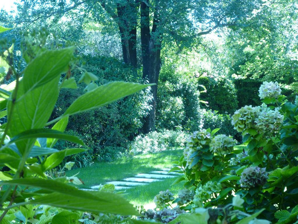 B&B Villa Dei Pini Domegliara Екстериор снимка